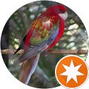 viktória V. profile picture